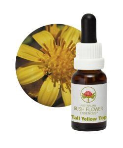 Tall Yellow Top, 15 ml